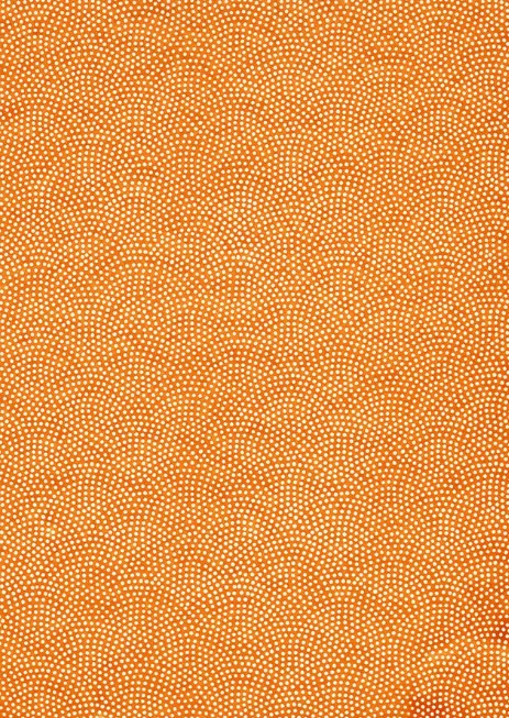 Chiyo 528